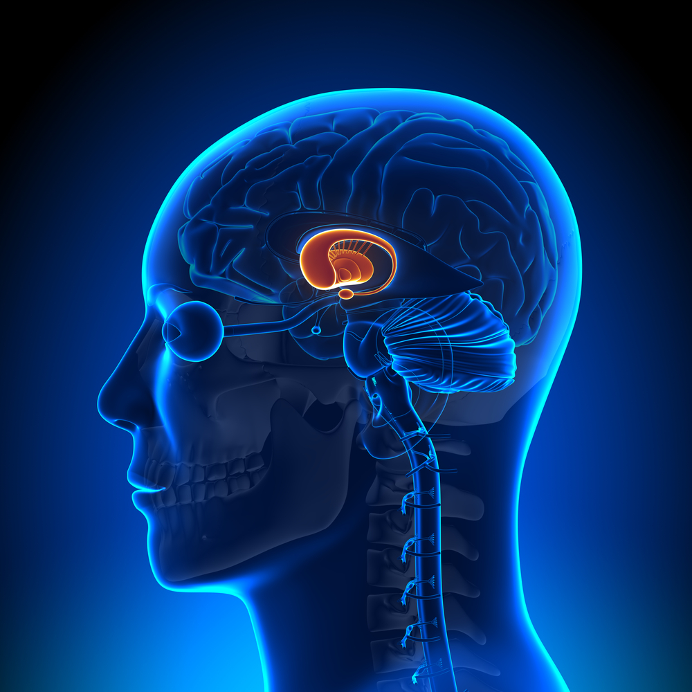 Details emerge of first Huntingtonâs disease gene therapy clinical trial