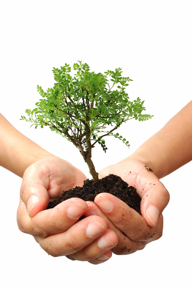 Planting trees together: The 2016 Huntington's Disease Society of America Convention