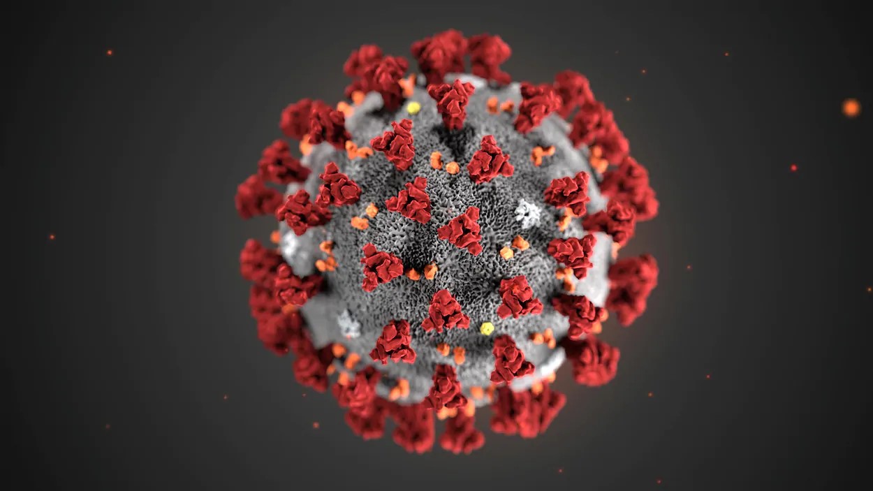 What does COVID-19 mean for Huntingtonās disease families and HD research?