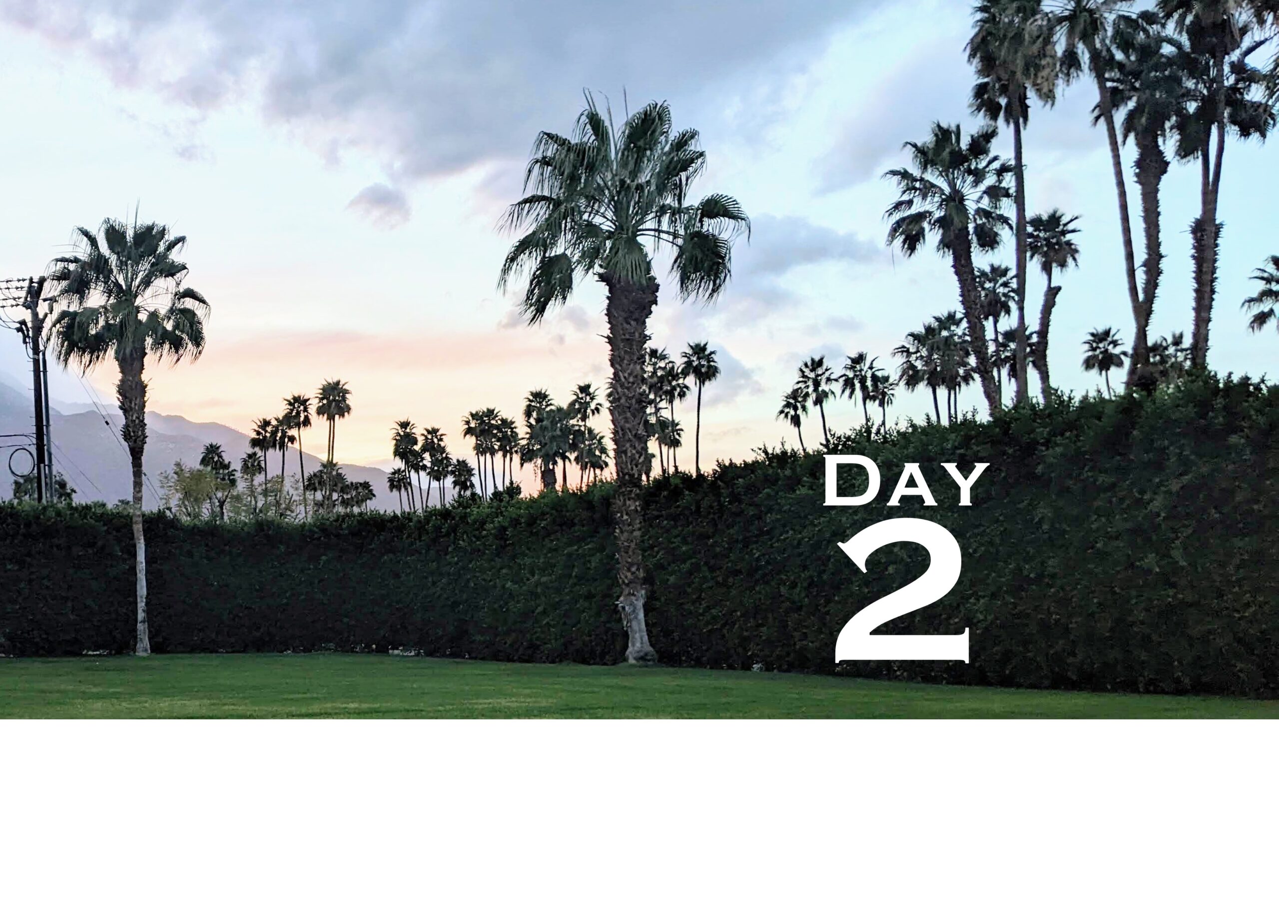Huntington's Disease Therapeutics Conference 2024 – Day 2
