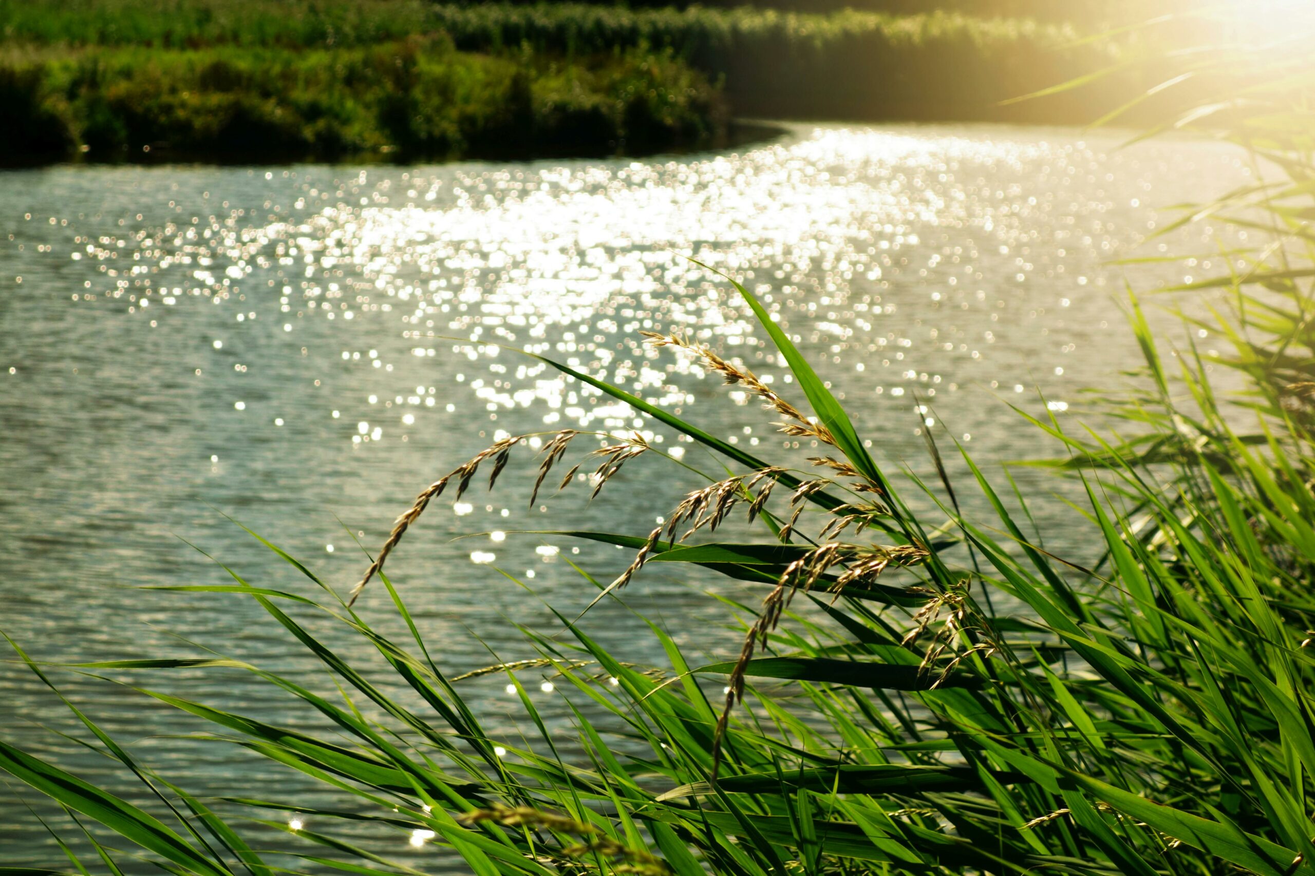 Navigating the Genetic River: How Tiny Variants Could Shift the Course of Huntingtonās Disease
