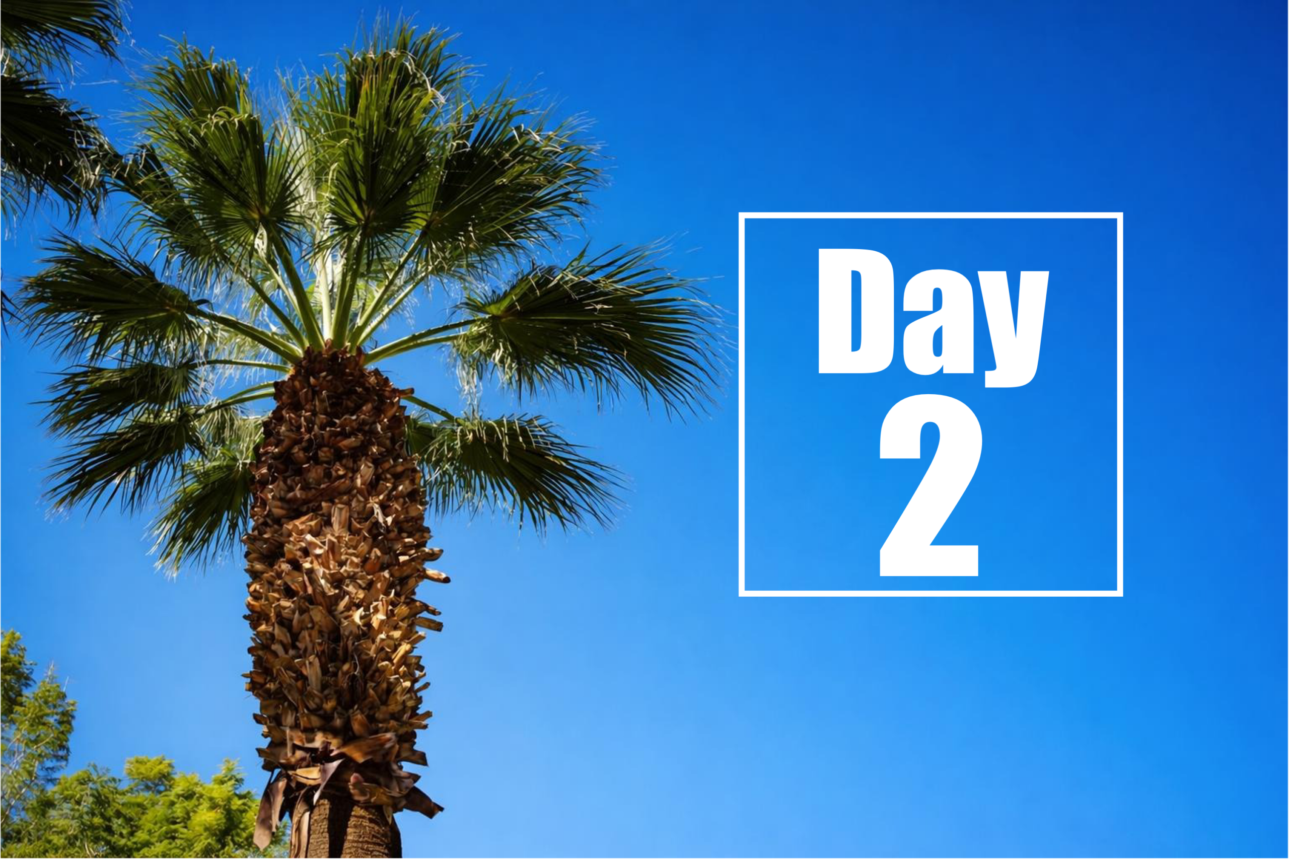 Huntington’s Disease Therapeutics Conference 2026 – Day 2