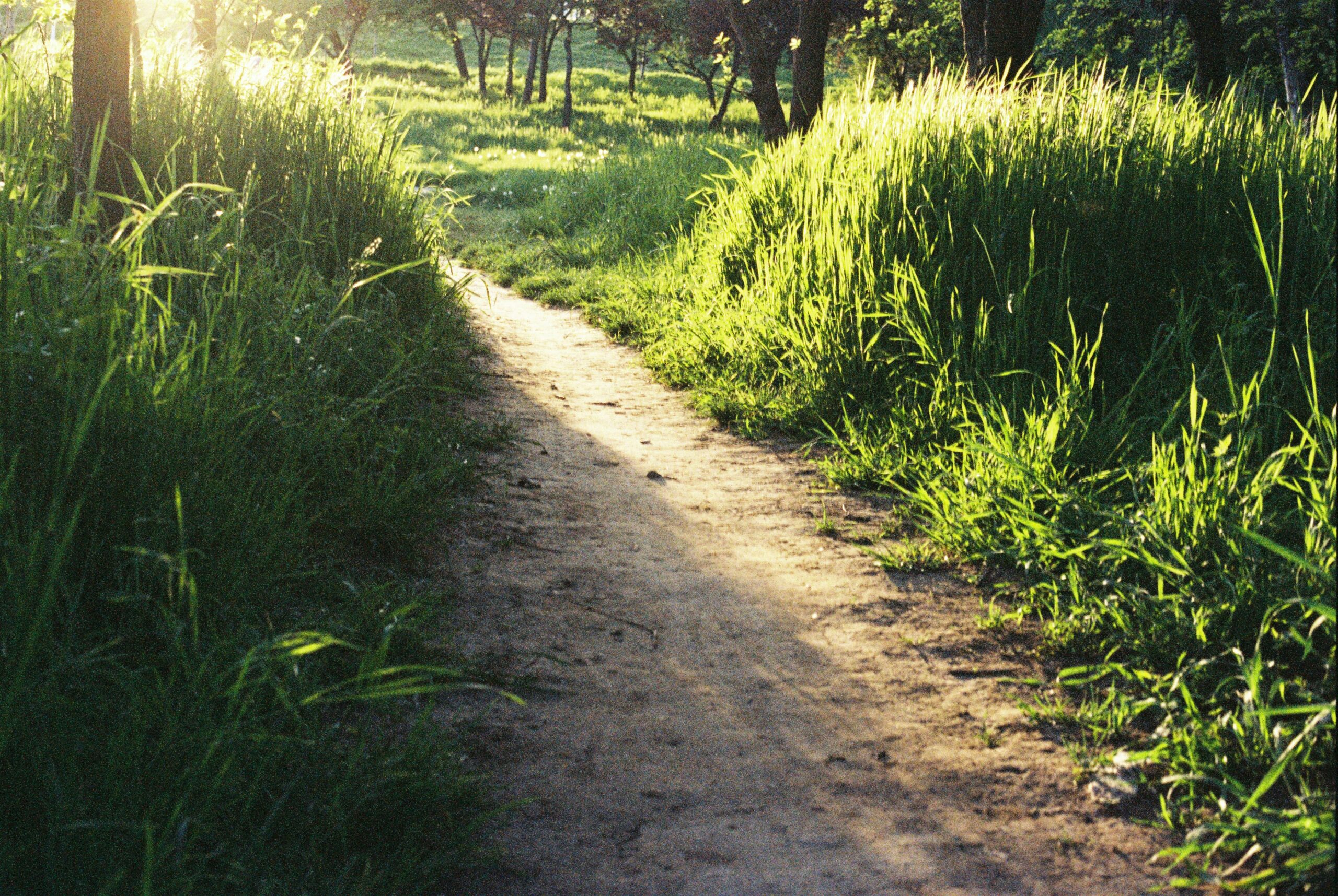 A Second Path: uniQure Plans Regulatory Filing for AMT-130 in the UK